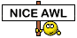 Nice Awl