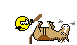 Dead horse